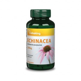 Vitaking Echinacea - Bíbor kasvirág - 90 db